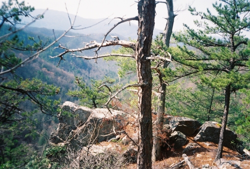 jones_br_overlook jones_br_overlook