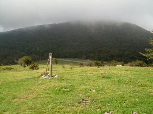 elk_garden_rs elk_garden_rs