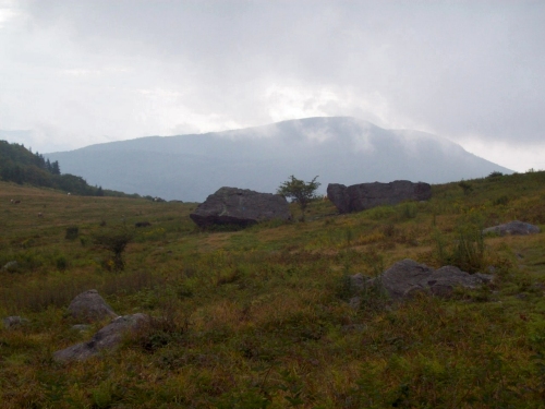 whitetop_from_mt_rogers_rs whitetop_from_mt_rogers_rs