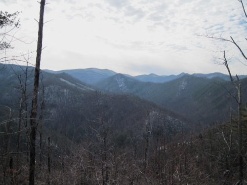 View from Big Pine Ridge