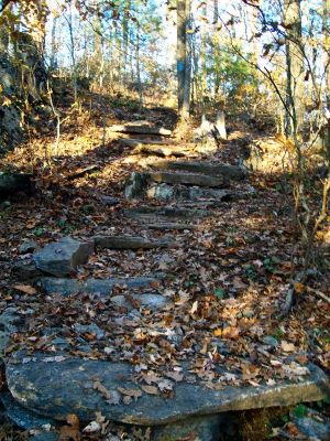 New steps going up the blue blaze to High Rocks 10-20-2009
