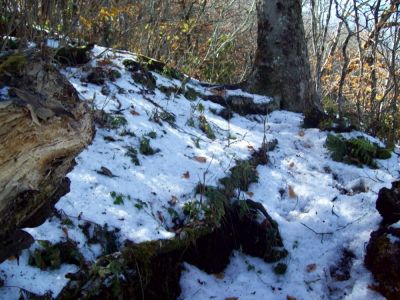 Little Bald Mountain
Snow on Little Bald 
10-20-2009
