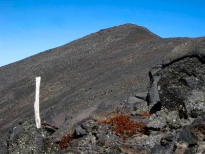 Climbing Humphreys Peak
Summit of Humphreys Peak (highest point in Arizona)
