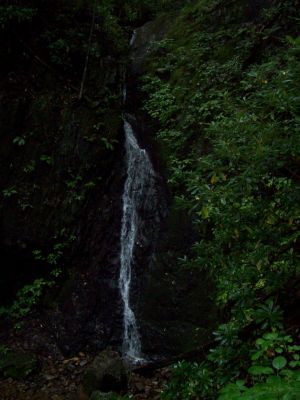 Backbone Falls
on the way to Damascus.
9-09
