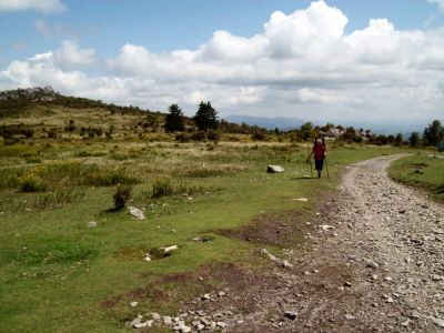 Massie Gap
Trail goes through Massie Gap on its way over Wilburn Ridge and on to Mount Rogers.
9-09
