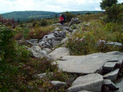 Mout Rogers
Rocky Trails in the mount Rogers area.
9-09
