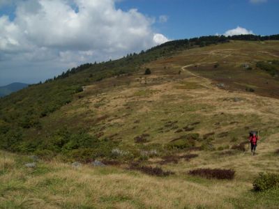 Whitetop Mountain
...hiking up to 'Buzzard Rock'.
9-09
