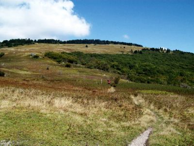 Whitetop Mountain
View of summit
9-09
