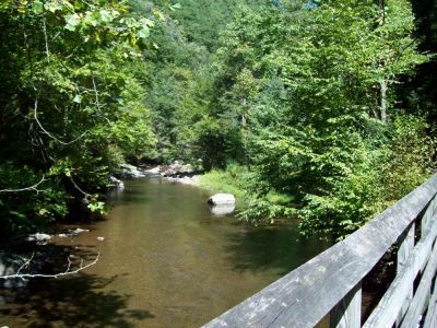 Virginia Creeper Trail
Crossing a trestle
9-09
