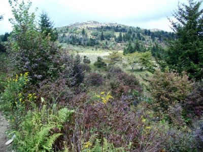 The Virginia Highlands
Ascending Wilburn Ridge on the way to Mount Rogers,
Rat's Birthday Hike, September 2009

