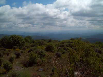 Grayson Highlands
View
Photo by Rat
9-09
