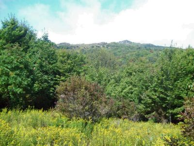 Grayson Highlands
Some of the inspiring visuals climbing Wilburn Ridge;
Rat's Birthday Hike, 2009
