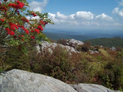 Grayson Highlands
Views from Wilburn Ridge...
9-09
