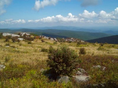 Grayson Highlands
Views from Wilburn Ridge,
Rat's Birthday Hike September 2009
