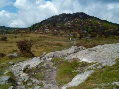 Grayson Highlands
view of highlands from ridge

