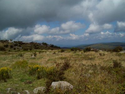 Grayson Highlands
views from ridge...
