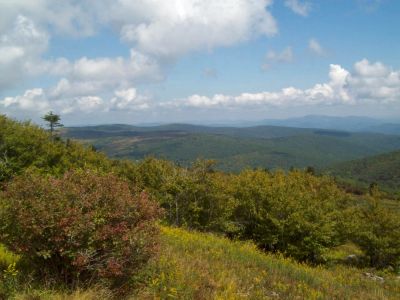 Wilburn Ridge
looking back toward where we camped the night before.
9-09
