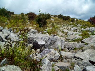 Grayson Highlands
Rocky Ridge Trail.
Photo by Rat, 9-09
