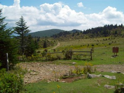 Grayson Highlands
Near Massie Gap
Rat's B'Day Hike, 2009
Photo by Rat, 9-09

