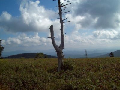 Virginia Highlands
some of the view,
Rat's B'day Hike 2009

