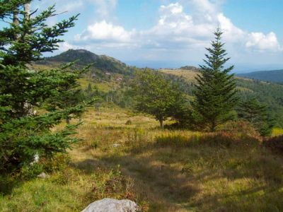 Grayson Highlands
Climbing Wilburn Ridge,
9-09

