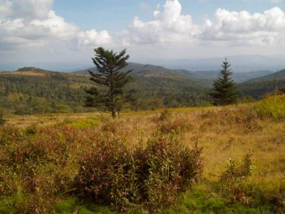 Grayson Highlands
Inspiring view from the Virginia Highlands,
Photo by Rat 
9-09

