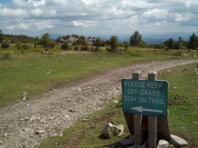 Grayson Highlands
Near Massie Gap.   There are signs for everything.
9-09
