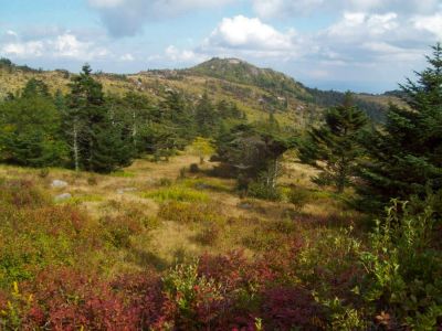 Grayson Highlands
Inspiring views of Wilburn Ridge.
9-09
