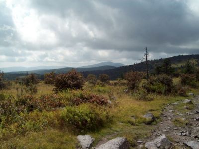 Grayson Highlands
Our first view of Whitetop Mountain in the distance from Mount Rogers.
9-09
