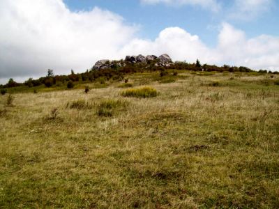 Grayson Highlands
A herd of Boulders lurking ahead...
Rat's Birthday Hike, September, 2009
Photo by Rat
