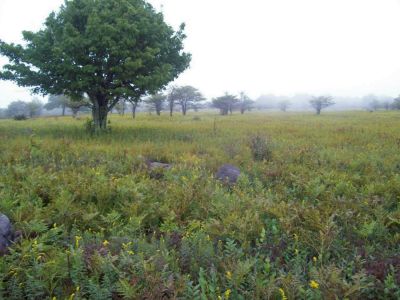 Rat's Birthday Hike
Highlands Meadow...
9-09
