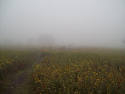 Grayson Highlands
Second day of trip--trail through the cold cloud.
9-09
