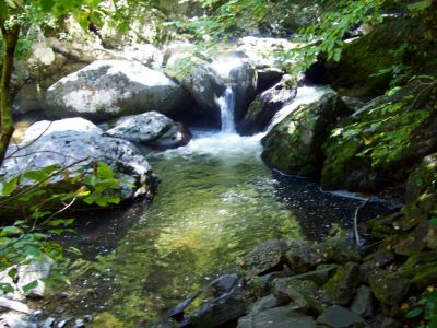 Virginia Creeper Trail
Small falls on Laurel Creek.
9-09
