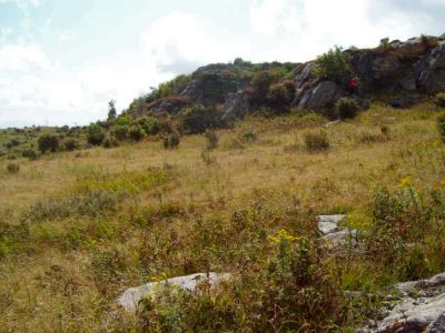Grayson Highlands
Picking blueberries while taking a break...
9-09
