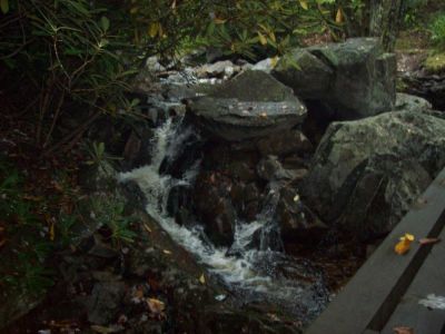 Little Wilson Creek
Near the Wise Shelter in the 'Little Wilson Creek Wilderness'.
9-09
