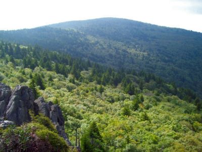 Mount Rogers
View of Mount Rogers from the large cliff at 'Rhododendron Gap' on our approach.
9-09
