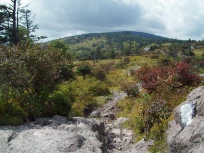 Mount Rogers
On our approach...
9-09
