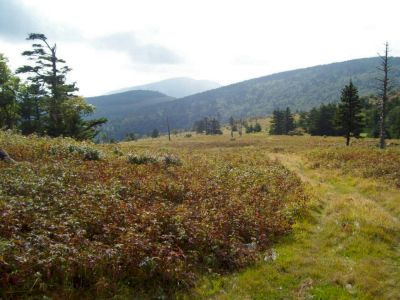 Mount Rogers and Whitetop Mountain
1st views of Whitetop as we ascend Wilburn Ridge in the Highlands
