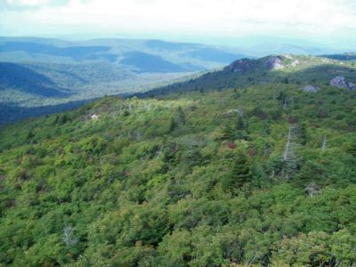 Mount Rogers
View from cliff...
9-09
