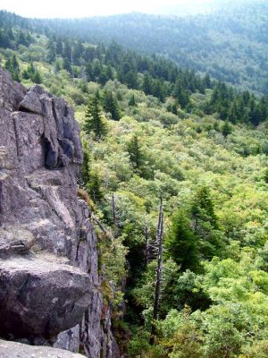 Cliff
More views from cliff at Rhododendron Gap on the Appalachian Trail,
September 2009
