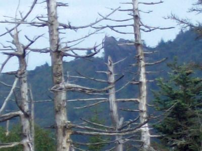 Cliff
as seen from Mount Rogers.
9-09

