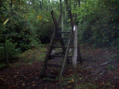 Trail
Had to climb over this...
9-09
