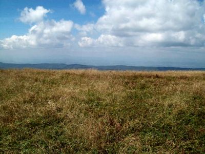 Whitetop Mountain
9-09
