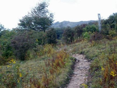 Whitetop Mountain
approaching the Buzzard Rock,
September 2009
