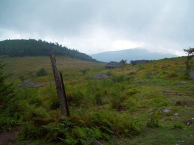 View of Whitetop Mountain
From Mount Rogers,
9-09
