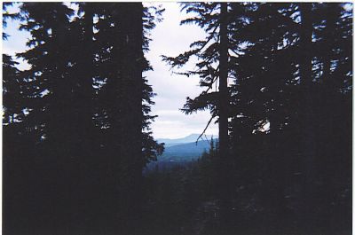 Crater Lake 
the rim of Crater Lake, looking towards the Rogue River Valley.
photo donated by Betty Sabatini
