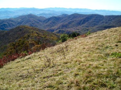 View from Big Bald (taken on work trip 10-20-2009)
