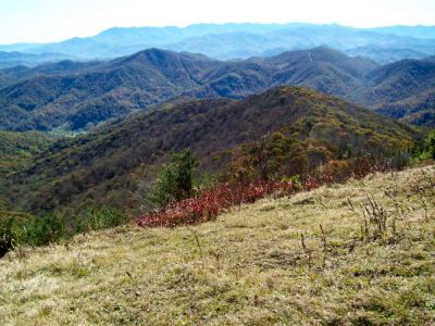 View From Big Bald
Photo by Rat
10-20-2009
