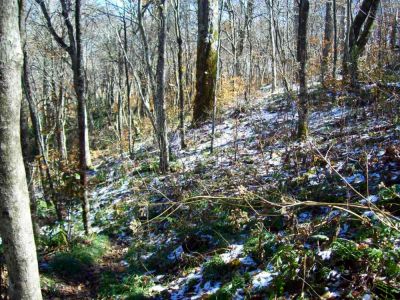 Snow near Big Bald taken during work trip 10-20-2009
