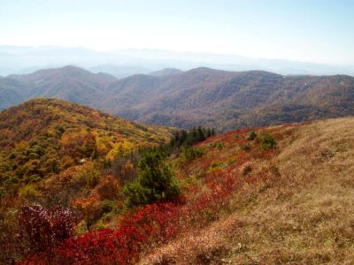 View From Big Bald 
Photo by Rat
10-15-2008
